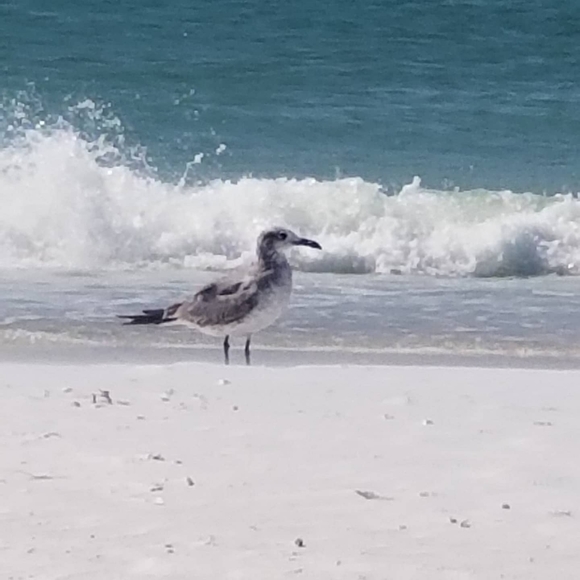 Meet your Posher, Jasmine🦊🌻🍄🥧🍁🍂🐿🦔🦝📚🕯☕🥾👩🏽🌾 - Picture 12 of 16